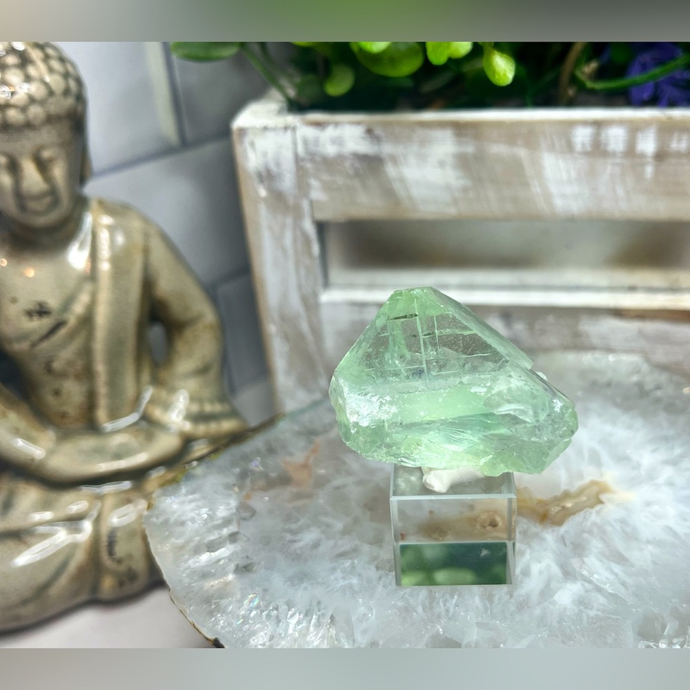 Clear Cubic Fluorite on Stand